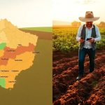 Diferencia entre clasificación y calificación del suelo